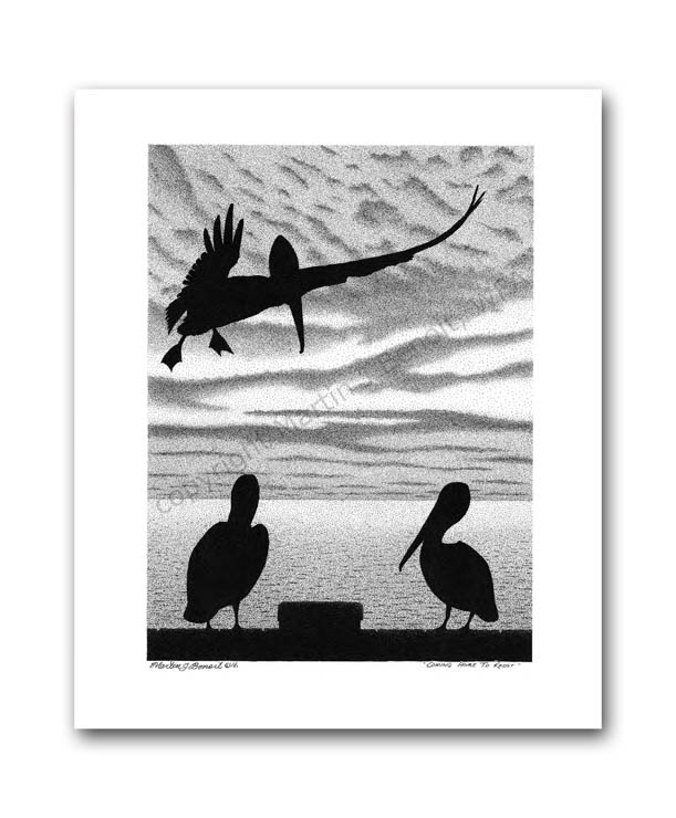Coming Home To Roost