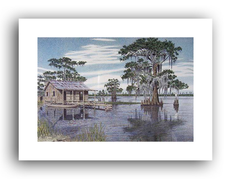 Camp In The Swamp